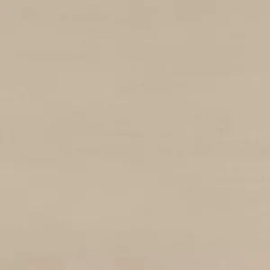 SY31SQU2424RMT Synchronic Beige 24X24 Matte