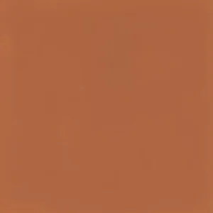 DS21881P D_Segni Color Tangerine 8X8 Matte
