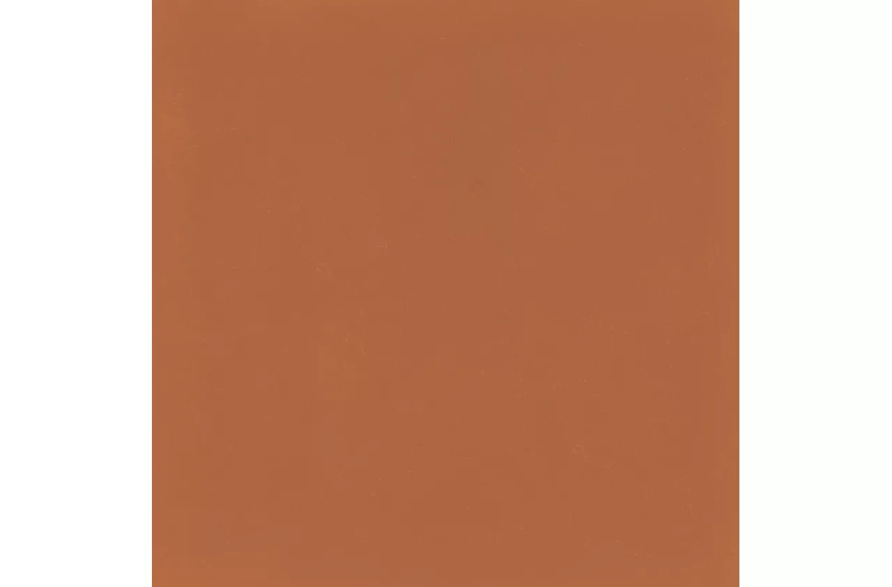 DS21881P D_Segni Color Tangerine 8X8 Matte