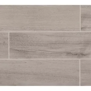 EW02PLK624MTJ1 Edgewood Steel 6x24 Matte