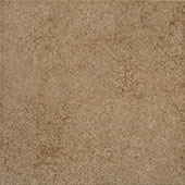 PK971818Z1PV Parkway Brown 18X18 Matte