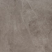DL2624241PK Delegate Light Grey 24X24 Matte