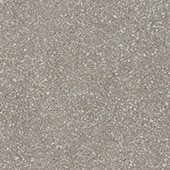 NE0424241PK Neospeck Medium Gray 24X24 Matte