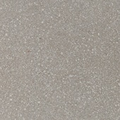 NE0324241PK Neospeck Light Gray 24X24 Matte