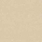 UM061224S1P Ultramodern Beyond Beige 12X24 Matte
