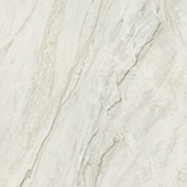 FM1124241PF Famed Iconic 24X24 Matte