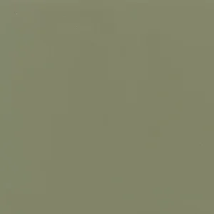 0141 Color Wheel Classic Garden Spot 6X6 Glossy (Discontinued)