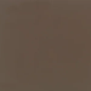 0144 Color Wheel Classic Artisan Brown 6X6 Glossy (Discontinued)