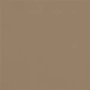 0166 Color Wheel Classic Elemental Tan 6X6 Glossy (Discontinued)