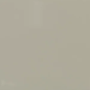 0709 Color Wheel Classic Matte Architectural Gray 4X4 Matte (Discontinued)