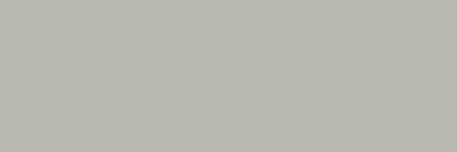 X114 Color Wheel Linear Desert Gray 8X24 Glossy (Discontinued)