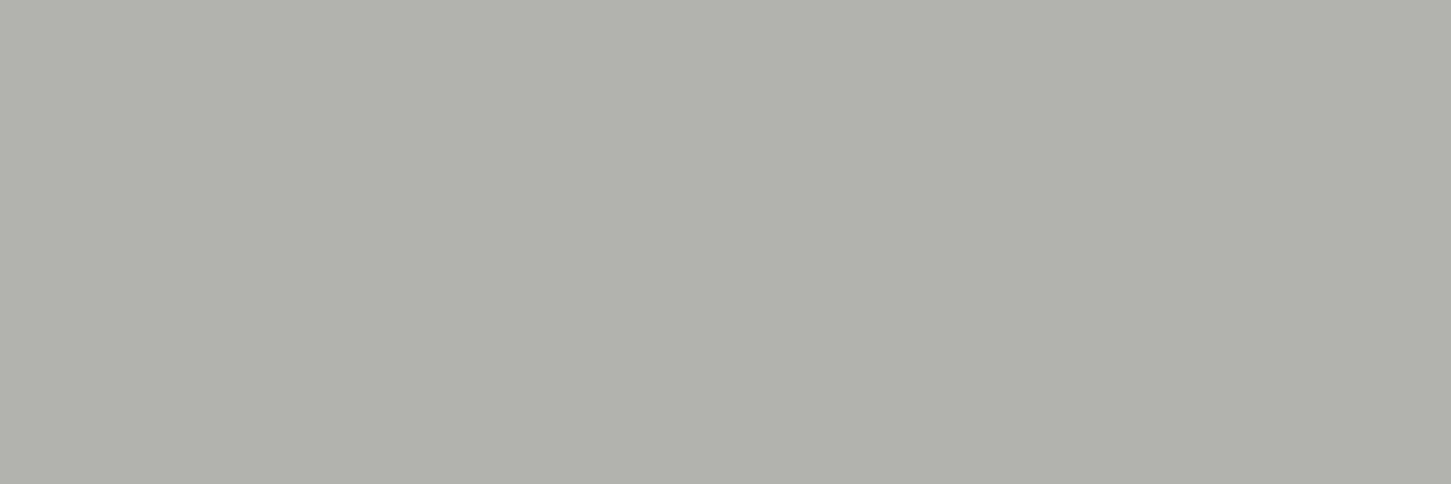 X714 Color Wheel Linear Matte Desert Gray 2X8 Matte (Discontinued)